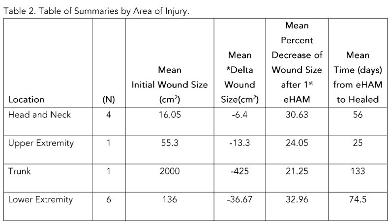 Summary of Wound Sizes by Area of Injury.