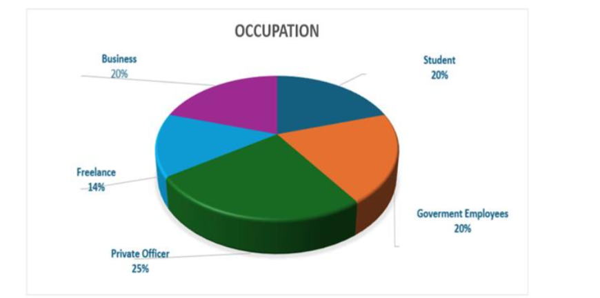 Figure 4. Respondent Profiles Based on Their Occupation