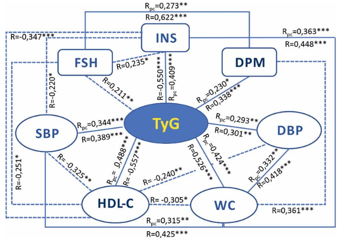 Associations of TyG index with markers of MetS and perimenopause in a cohort of women with different BP levels; R – Spearman’s correlation coefficient (solid line); Rpc – partial correlation (dotted line); significant difference: * ≤ 0,05; ** ≤ 0,01; *** ≤ 0,001.