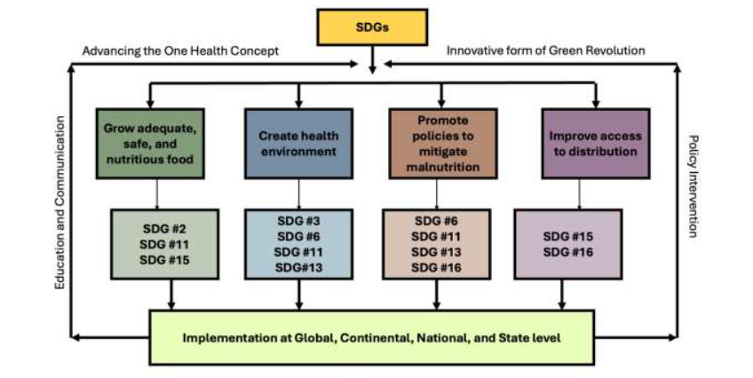 Figure 1: Benefits of advancing Sustainable Development Goals on combating undernutrition and malnutrition