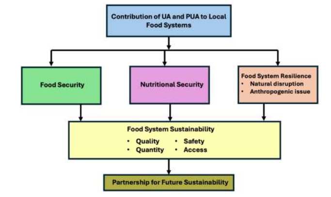 Figure 3: Importance of urban and per-urban agriculture to local food systems for reducing risks of malnutrition