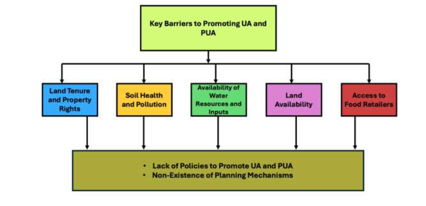 Figure 4: Some challenges to promoting urban and peri-urban agriculture