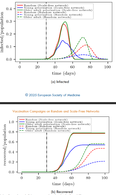 Evolution of recovered individuals in the scale-free network under different vaccination strategies (see legend for details). The red line represents the situation with no vaccination at all. In all cases, 10,000 vaccines are supplied daily. The curves were normalized with respect to the population (N = 1 million). The black vertical line indicates the starting point of vaccination. The contagion probability was assumed to be p₀ = 0.8 (p = p₀/24). 50 realizations were performed for each network type.