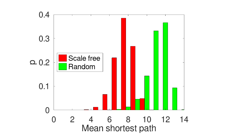 Figure 3: Shortest path distribution for the scale-free and random networks. 50 network realizations for each type were computed for building the histogram.