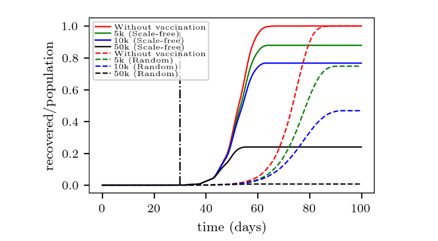 Figure 7: Evolution of recovered individuals for amounts of daily vaccinated people in scale-free (continuous lines) and random networks (dashed lines). The curves were normalized with respect to the population (N = 1 million people). The black vertical line indicates the start of vaccine interventions. The daily contagion probability was assumed to be po = 0.8 (p = po /24). 50 realizations were performed for each network type.