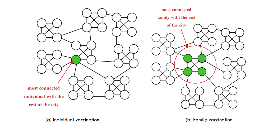 Schematic representation of (a) individual vaccination and (b) family vaccination.