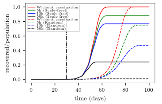 Evolution of recovered individuals for amounts of daily vaccinated people in scale-free (continuous lines) and random networks (dashed lines). The curves were normalized with respect to the population (N = 1 million people). The black vertical line indicates the start of vaccine interventions. The daily contagion probability was assumed to be po = 0.8 (p = po /24). 50 realizations were performed for each network type.