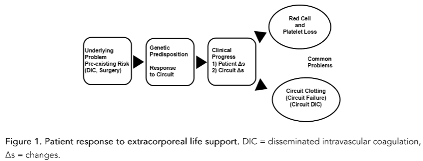 Figure 2. Causes of platelet loss during extracorporeal life support (ECLS). Adapted from reference 11.