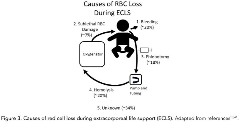 Table 1. Extracellular vesicle release and damage. In contrast, measures are available to measure sublethal red cell injury.