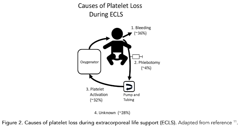 Figure 3. Causes of red cell loss during extracorporeal life support (ECLS). Adapted from references 40,41.