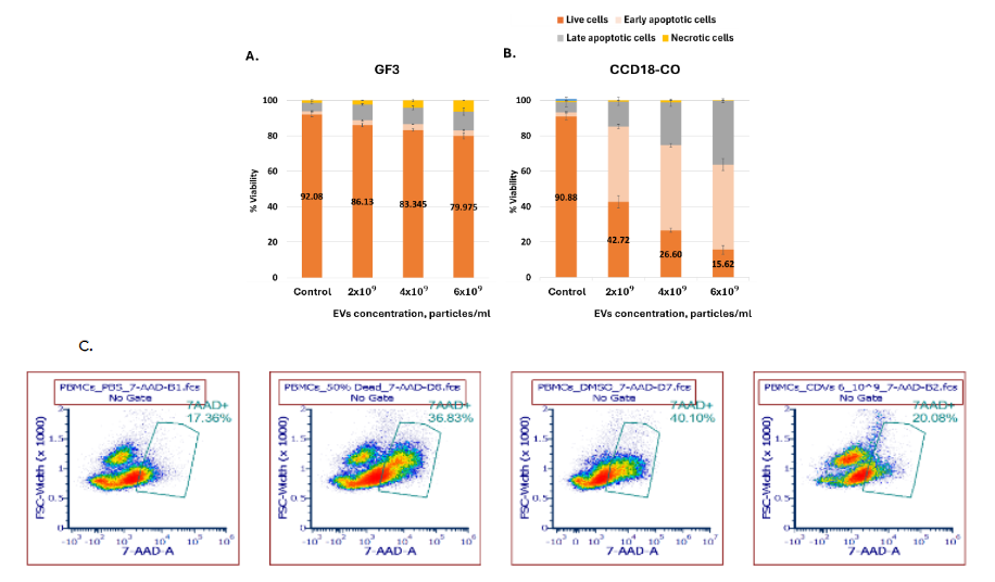 Figure 10: Apoptotic response and viability analysis of non-cancerous and peripheral blood mononuclear cells treated with p53-containing vesicles. Dose-dependent apoptotic response of GF3 A. and CCD-18CO B. treated with increasing concentrations of EVs for 48 hours. Bars represent percentage of live cells (orange), early apoptotic (beige), late apoptotic (gray), and necrotic cells (yellow), determined by Annexin V/PI test. GF3 exhibited very mild apoptosis levels, while CCD-18Co cells showed a more pronounced dose-dependent response. Data is presented as mean ± SD from two independent experiments. Flow cytometry analysis of human PBMCs stained with 7-AAD to assess cytotoxicity after EV treatment. PBMCs treated with PBS (negative control) showed 17.36% 7AAD+ cells, 50% dead control showed 36.83%, DMSO-treated cells showed 40.10%, and PBMCs treated with p53-containing EVs (6×10<sup>9</sup> particles/ml) exhibited 20.08% 7AAD+ cells. These results indicate minimal cytotoxicity of EVs on immune cells compared to controls.
