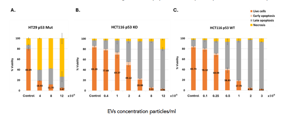 Figure 9: Dose-dependent cell death induced by p53-containing extracellular vesicles in colorectal cancer cell lines. Cells were treated with increasing concentrations of EVs (left to right within each panel), and cell fate was assayed by flow cytometry using Annexin V/PI test. Shown are the percentages of live cells (orange), early apoptotic cells (beige), late apoptotic cells (dark gray), and necrotic cells (yellow) in HT29 p53 Mut cells A., HCT116 p53 KO cells B., and HCT116 p53 WT cells C. Data represent mean ± SEM. EV treatment induced a dose-dependent decrease in viability, predominantly through apoptosis in p53 WT and KO cells, and necrosis in HT29 cells.