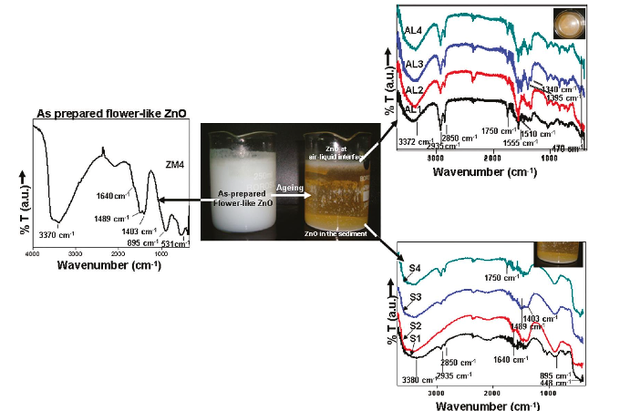 Gamma radiolysis method