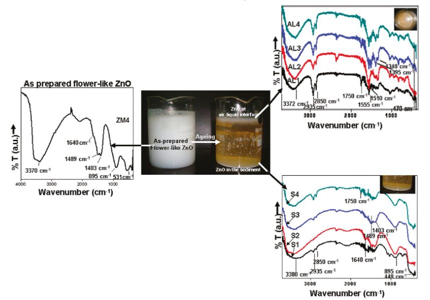 Comparative FTIR spectra of as-prepared ZnO (ZM4), ZnO at the air-liquid interface and in the sediments.