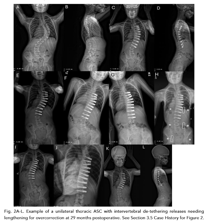 This image has an empty alt attribute; its file name is image-142.png