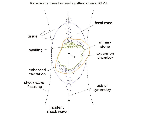 This image has an empty alt attribute; its file name is image-172.png