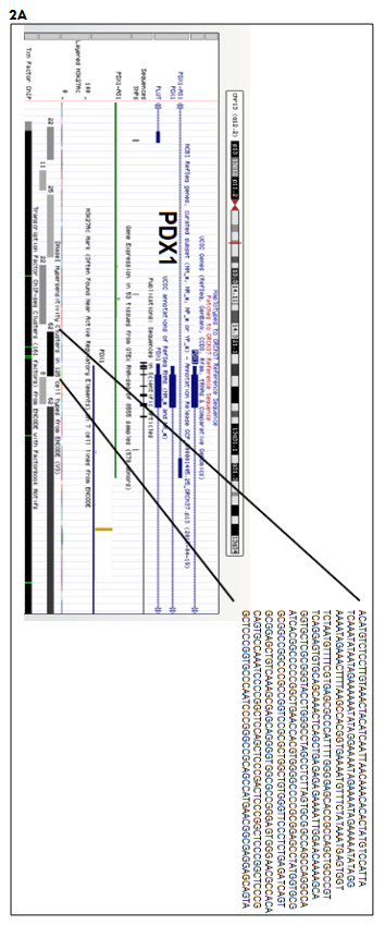 This image has an empty alt attribute; its file name is image-175.png