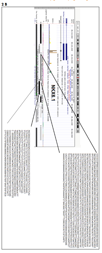 This image has an empty alt attribute; its file name is image-176.png