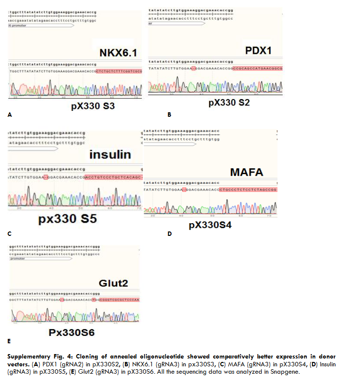 This image has an empty alt attribute; its file name is image-181.png