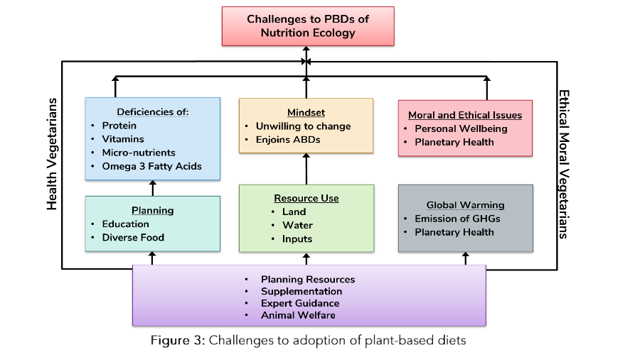 This image has an empty alt attribute; its file name is image-210.png