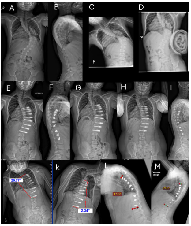 This image has an empty alt attribute; its file name is image-261.png