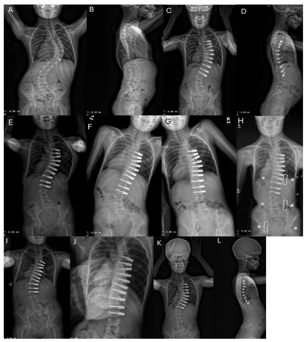 This image has an empty alt attribute; its file name is image-262.png