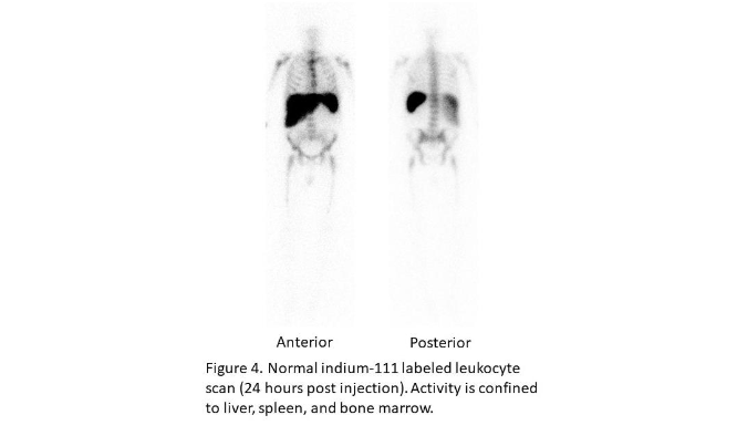 This image has an empty alt attribute; its file name is image-278.png