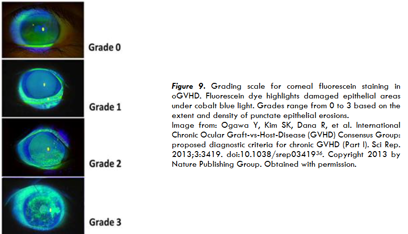 This image has an empty alt attribute; its file name is image-28.png