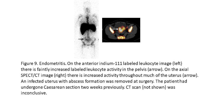 This image has an empty alt attribute; its file name is image-282.png