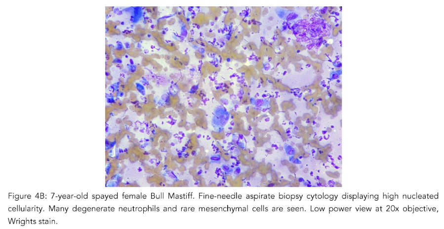 This image has an empty alt attribute; its file name is image-71.png