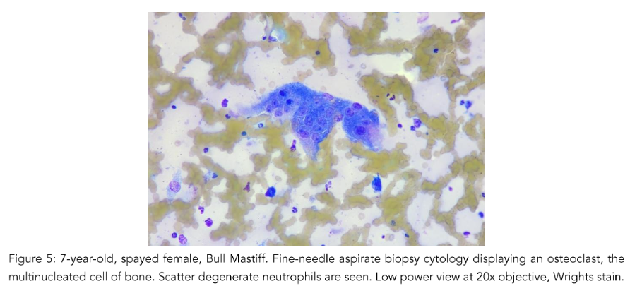 This image has an empty alt attribute; its file name is image-72.png