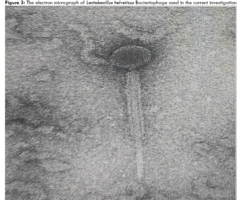 This image has an empty alt attribute; its file name is image-90.png