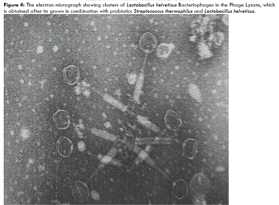 This image has an empty alt attribute; its file name is image-91.png