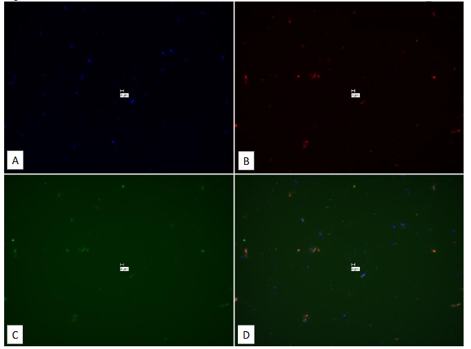 This image has an empty alt attribute; its file name is Screenshot-2025-11-18-112003-1.png