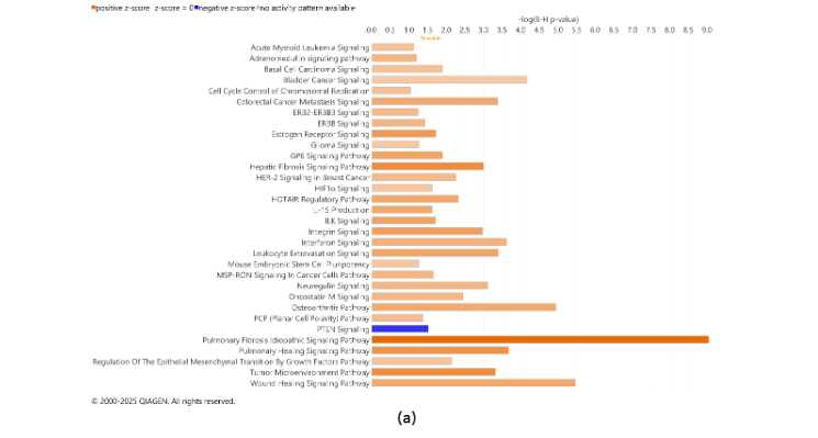 This image has an empty alt attribute; its file name is image-10.png