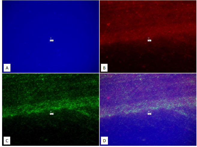 This image has an empty alt attribute; its file name is image-107.png