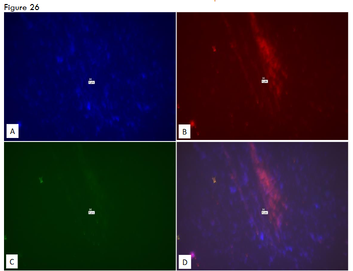 This image has an empty alt attribute; its file name is image-108.png