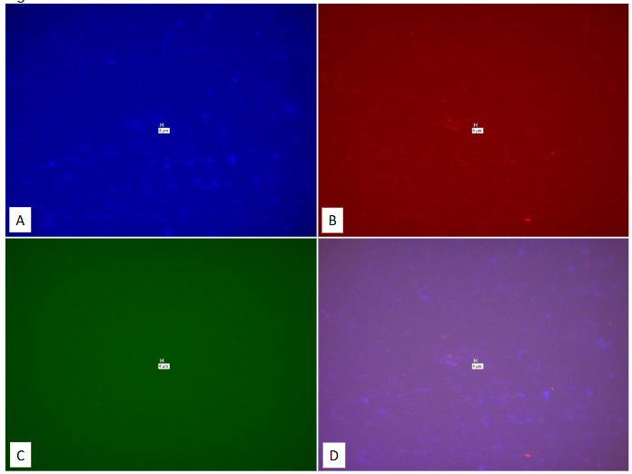 This image has an empty alt attribute; its file name is image-109.png