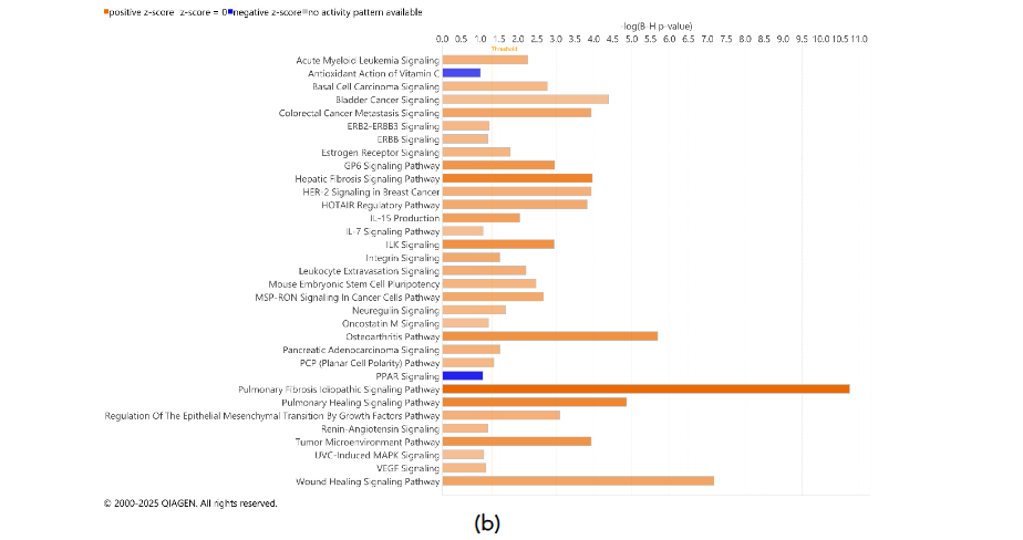 This image has an empty alt attribute; its file name is image-11.png