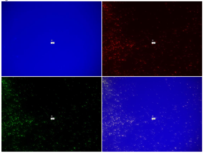 This image has an empty alt attribute; its file name is image-111.png