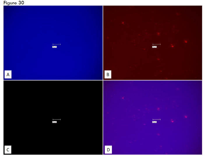 This image has an empty alt attribute; its file name is image-112.png