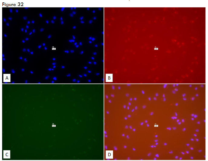 This image has an empty alt attribute; its file name is image-114.png