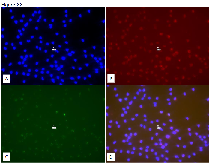 This image has an empty alt attribute; its file name is image-115.png