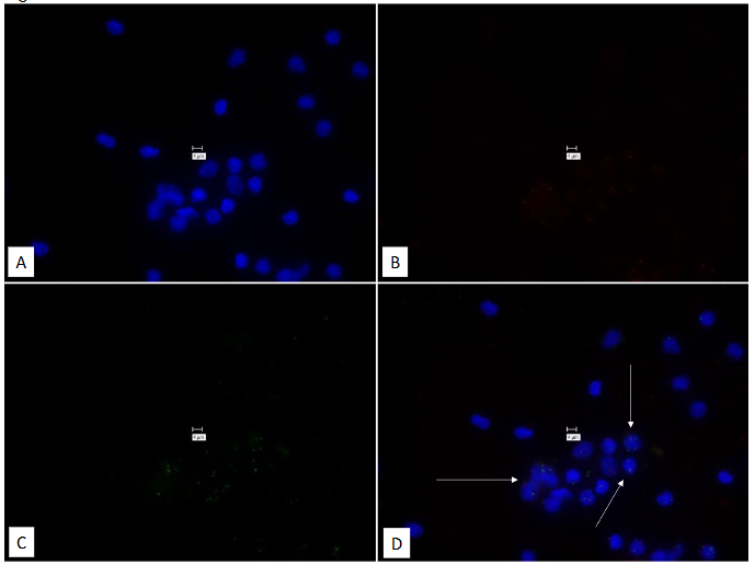 This image has an empty alt attribute; its file name is image-121.png