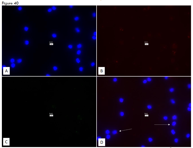 This image has an empty alt attribute; its file name is image-123.png