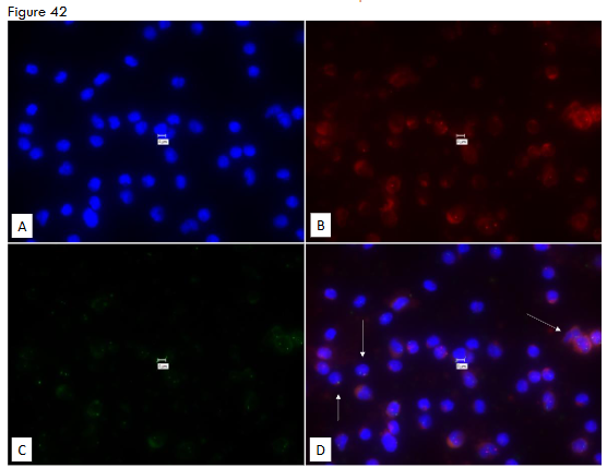 This image has an empty alt attribute; its file name is image-126.png