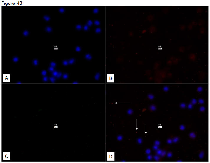 This image has an empty alt attribute; its file name is image-127.png