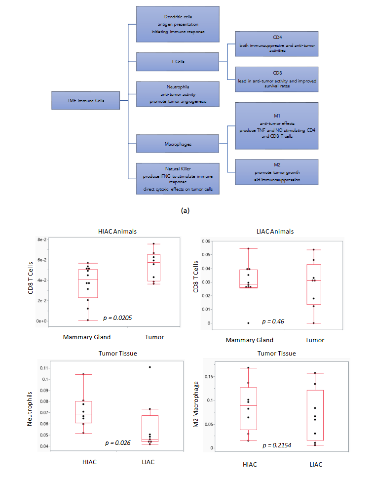 This image has an empty alt attribute; its file name is image-13.png