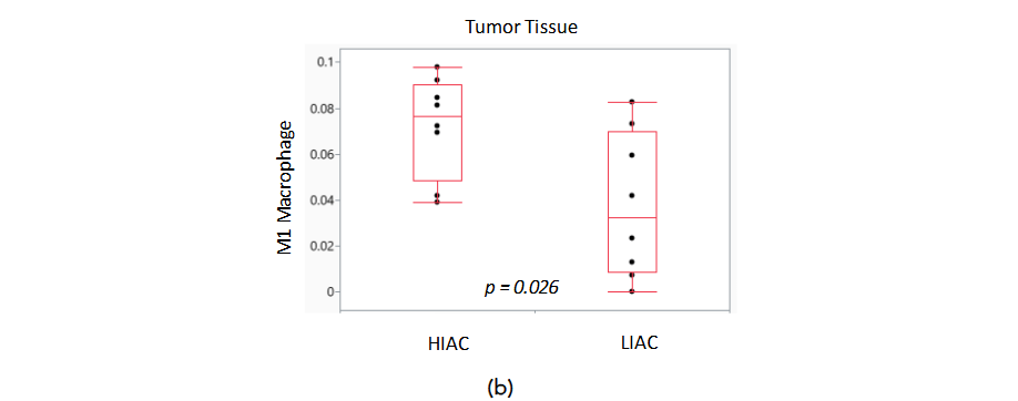 This image has an empty alt attribute; its file name is image-14.png