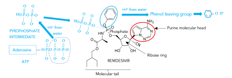 This image has an empty alt attribute; its file name is image-142.png